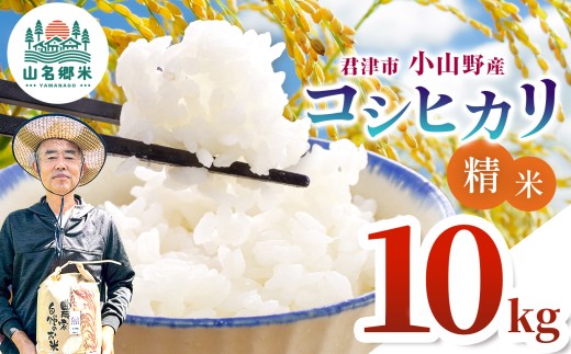 新米 令和8年産 コシヒカリ 特A 精米 白米 10kg 千葉県産 国産 | あかかげ農園 山名郷米 こしひかり お米 コメ こめ おこめ 小山野産 単一原料米 ふっくら もちもち 甘み おにぎり お弁当 ごはん ご飯 千葉県 君津市 きみつ