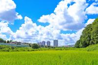 活力あるまちづくり事業（市長におまかせ）