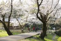 豊かなみどりの維持保全に関する事業