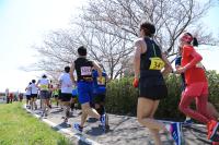 スポーツの振興に関する事業