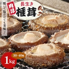 焼いて塩だけでも美味!「肉厚」長生き椎茸1kg(30～40枚)×1パック【配送不可地域：離島】【1288620】
