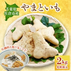 佐倉市産やまといも　2kg×1箱【配送不可地域：離島】【1293687】