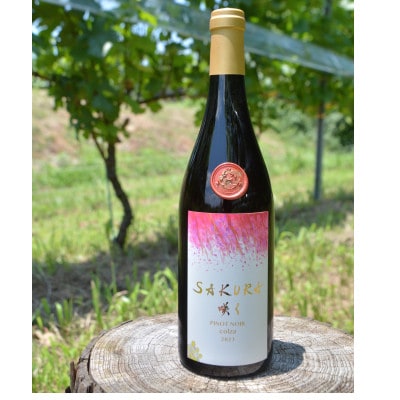 【数量限定】佐倉産初のワイン!ピノ・ノワール2023 750ml×1本【配送不可地域:離島】【1637206】
