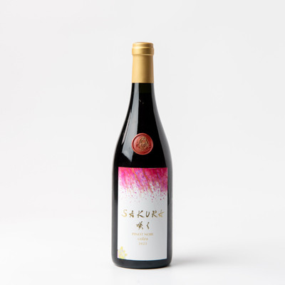【数量限定】佐倉産初のワイン!ピノ・ノワール2023 750ml×1本【配送不可地域:離島】【1637206】