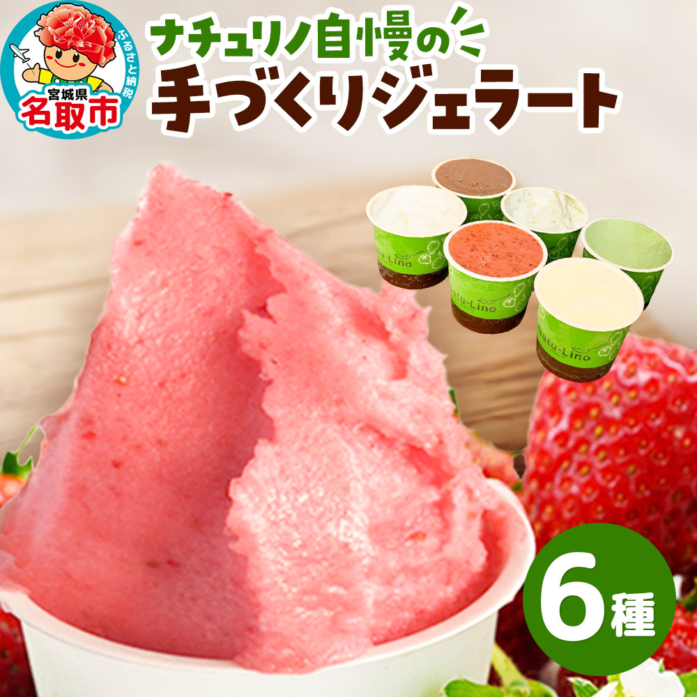 ナチュリノ自慢の手づくりジェラート 6種 自然派 人気店 Gelateria Natu-Lino natulino