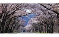 秋保・広瀬・大沢・根白石地域活性化サポーター
