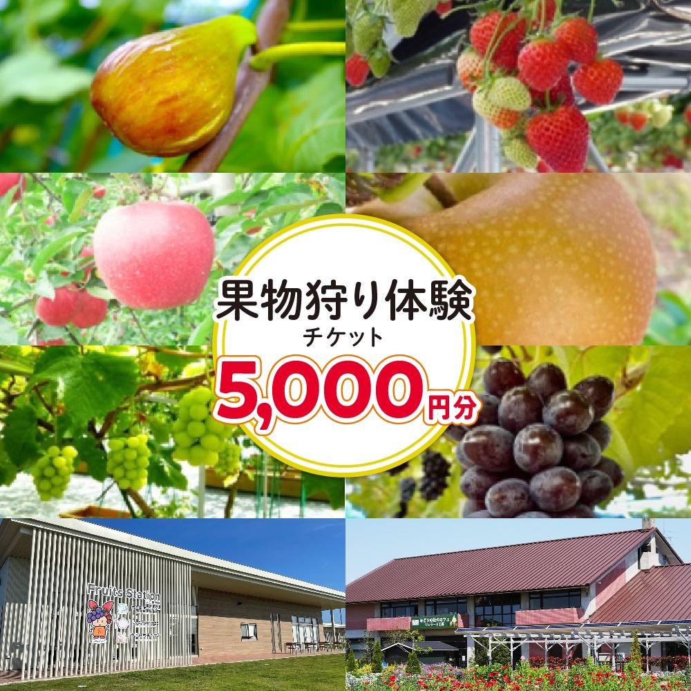 旬の果物摘み取り体験チケット　1回5,000円分　【チケット 券 人気 おすすめ 】