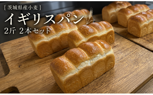 【 3ヶ月 定期便 】茨城県産 小麦の イギリスパン 2斤 2本 セット 食パン パン 小麦 冷凍 プレゼント ギフト