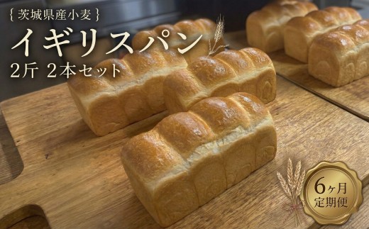 【 6ヶ月 定期便 】茨城県産 小麦の イギリスパン 2斤 2本 セット 食パン パン 小麦 冷凍 プレゼント ギフト