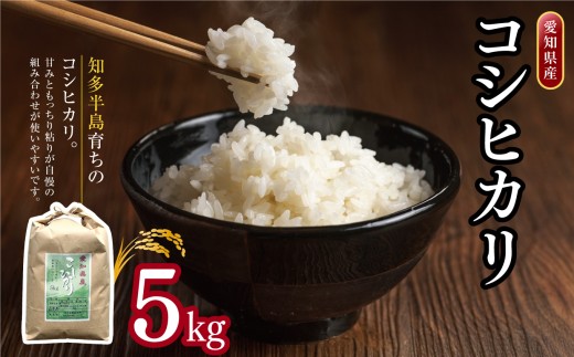 愛知県産 コシヒカリ 5kg｜米 お米 コメ こめ おにぎり 弁当 愛知県 美浜町 新米 ※北海道・沖縄・離島への配送不可