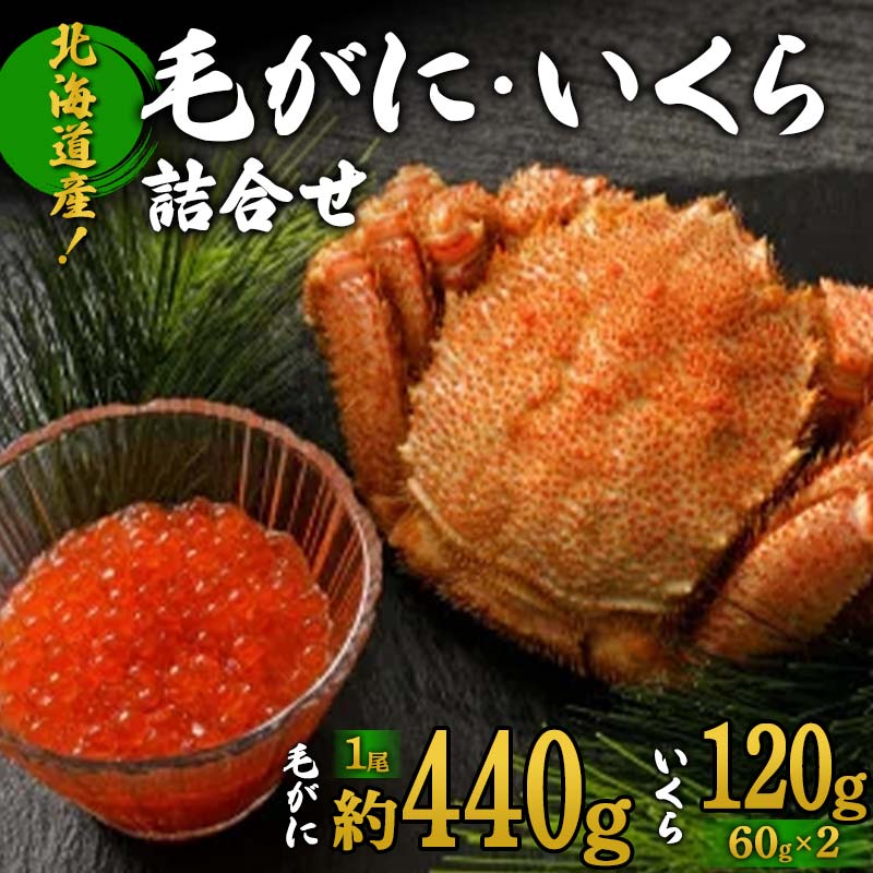 北海道産！毛がに・いくら詰合せ  F6S-536