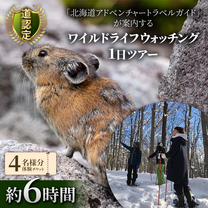 道認定「北海道アドベンチャートラベルガイド」が案内するワイルドライフウォッチング1日ツアー　【4名様分体験チケット】 約6時間  F6S-046