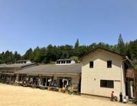 市内の私立学校を応援しよう！（きのくに子どもの村学園）