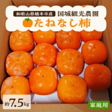 国城観光農園のたねなし柿(家庭用・訳あり)約7.5kg【1143474】