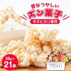 昔なつかしいポン菓子(38g×3袋)×7袋【1143589】