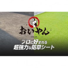 ガーデニングや庭の景観改善に使用 雑草を防ぎ草抜き作業を軽減 枯草が混じる冬の人工芝防草シート【1307891】