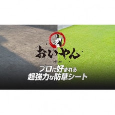 ガーデニングや庭の景観改善に使用 雑草を防ぎ草抜き作業を軽減 青々とした夏の人工芝防草シート【1314927】