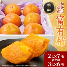 【先行予約】匠果樹園 富有柿【秀品】白紫箱 2Lまたは3Lサイズ【令和7年11月より順次発送】【1473510】