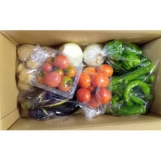旬の野菜セット【配送不可地域:離島】【1545269】