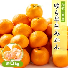 和歌山の早生みかん　ゆら早生(大きさ不揃い)　約5kg【1582070】
