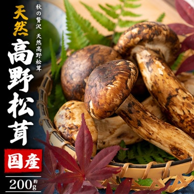 国産 天然高野松茸 約200g【配送不可地域:離島・北海道・沖縄】【1601023】