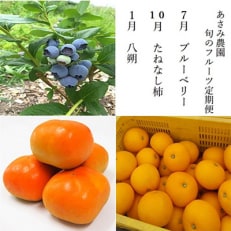 【発送月固定定期便】2025-2026年　あさみ農園　旬のフルーツ3選全3回【配送不可地域：離島】【4012894】