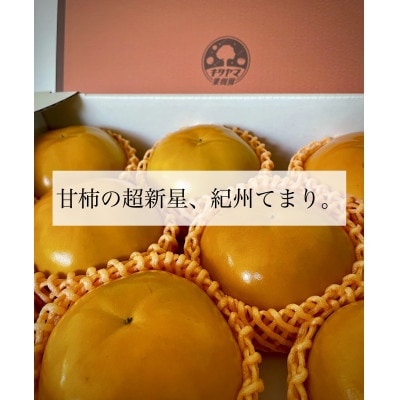極上果汁!紀州てまり柿 A級スペシャルオレンジパッケージ版 4Lサイズ以上 7～8玉入【1582433】
