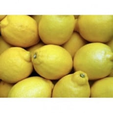 アトランティスファームの国産レモン 約10kg+1kg(11月より順次発送予定)【1517849】