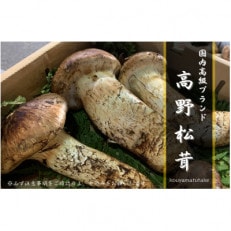 【和歌山産】~香りそのまま真空パック~高級・希少 高野松茸 200g(訳有品詰合せ)【配送不可地域:離島・北海道・沖縄】【1340753】