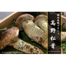 【和歌山産】~香りそのまま真空パック~高級・希少 高野松茸 300g(極:★★★)【配送不可地域:離島・北海道・沖縄】【1340772】
