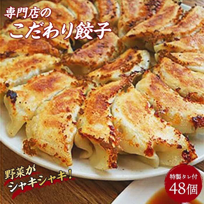 冷凍生餃子48個と特製タレのセット