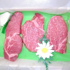 上州牛ヒレステーキ3枚入り(合計450g)【配送不可地域：離島】【1040053】