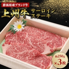 上州牛サーロインステーキ 約250g×3枚【配送不可地域:離島】【1455222】