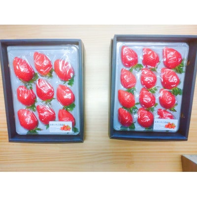 金井いちご農園　贈答用いちご　2パック【配送不可地域：離島・北海道・沖縄・中国・四国・九州】【1691420】