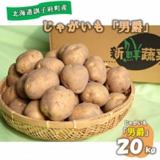 佐藤農場のじゃがいも「男爵」20kg【配送不可地域：離島・沖縄】【1097715】