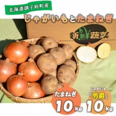 佐藤農場のじゃがいも「男爵」10kgと玉葱10kgセット【配送不可地域：離島・沖縄】【1097718】