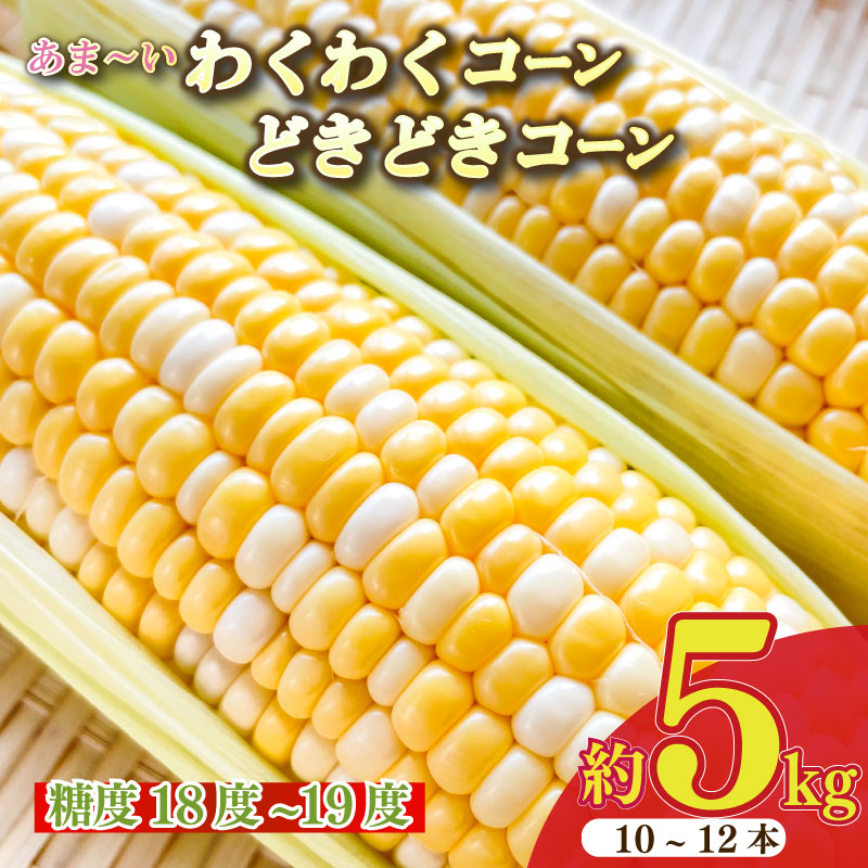 先行予約 静岡県 牧之原市 とうもろこし 5kg 10 ~ 12本 糖度18 ~19度 もろこしショップぐりぱ