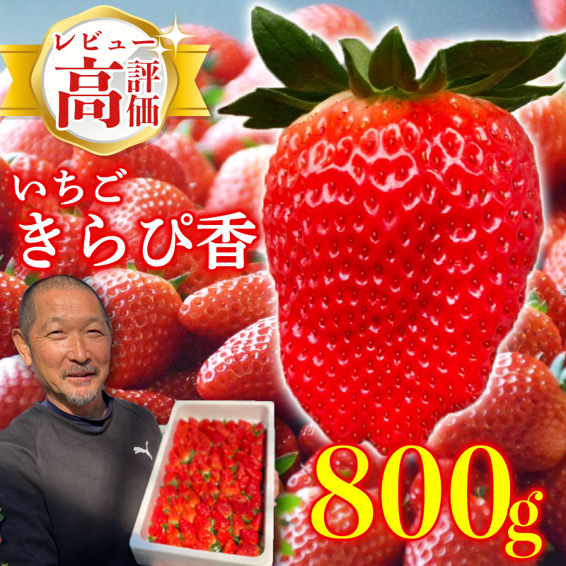いちご 予約受付 [2026年1月から出荷] 鈴木農園の朝摘みきらぴ香 800g