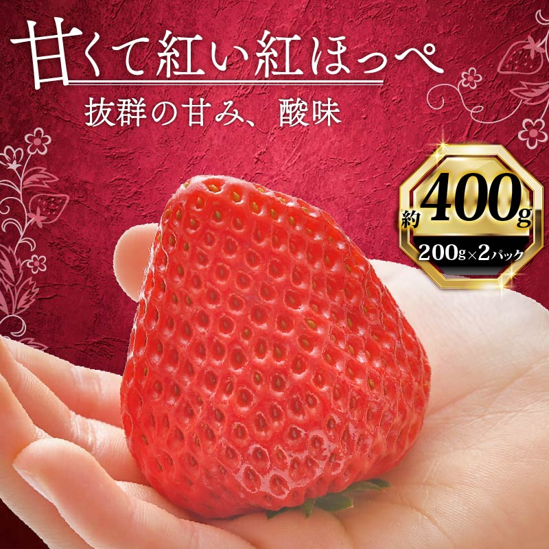 いちご 紅ほっぺ 計 400g 計 2 パック 高級 イチゴ 苺 セット べにほっぺ 2 パック 200g × 2 パック フルーツ 果物 ストロベリー 産地直送 国産 スイーツ デザート くだもの イチゴ 果物 贈答用 ギフト 畠農宝 静岡県 牧之原市