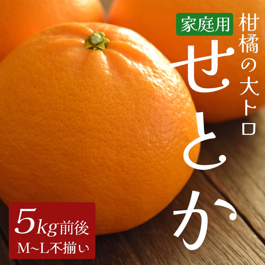 せとか 約5kg 家庭用 高知県産 ハウス栽培|ハウスみかん 甘い 濃厚 ジューシー 香り豊か 希少 柑橘 柑橘の大トロ 訳あり 果物 フルーツ プレミアム 国産 大月町 人気 美味しい おいしい おすすめ 旬 旬の果物 旬のフルーツ