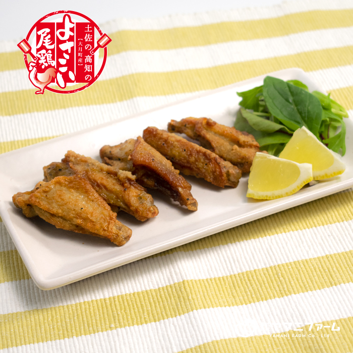 国産 よさこい尾鶏 鶏肉 チキンスペアリブ 400g & 和風しょう油唐揚げ 500g|国産鶏肉 レンチン レンジ 揚げるだけ 冷凍 簡単調理 時短調理 タイパ おかず お弁当 晩ごはん おつまみ 惣菜 人気セットチキン 唐揚げ 高知県 大月町産