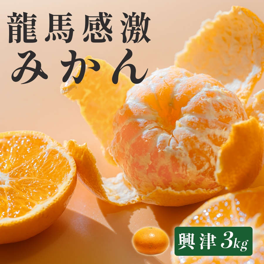 【高知県 大月町産】コーラルフルーツ農場 龍馬感激みかん(興津) 3kg