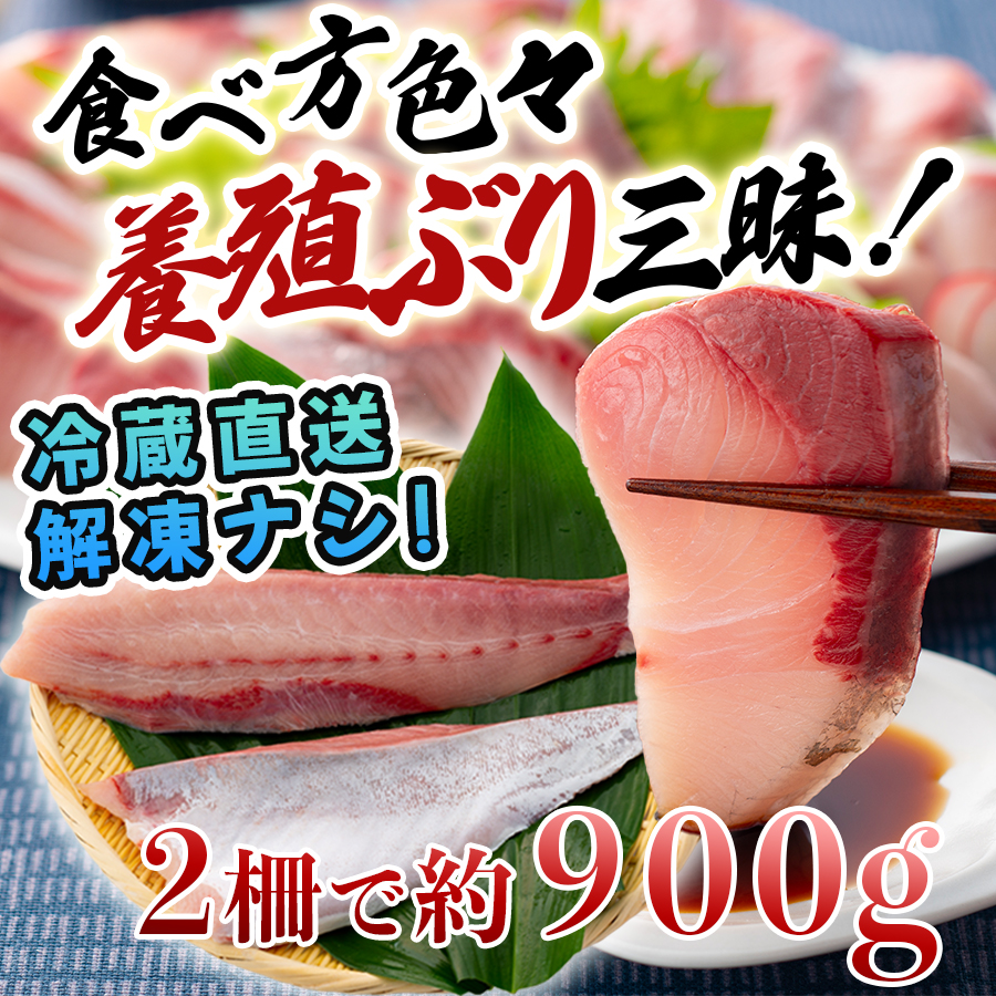 養殖ぶり 2柵セット|養殖ぶり ロイン サク うみのファーム ぶり 鰤 ブリ 新鮮 真空 魚介 刺身 ぶりしゃぶ カルパッチョ 丼 寿司 国産 贈答 ギフトお歳暮 配達日指定可 産地直送 冷蔵配送 おすすめ 人気 高知県 大月町産