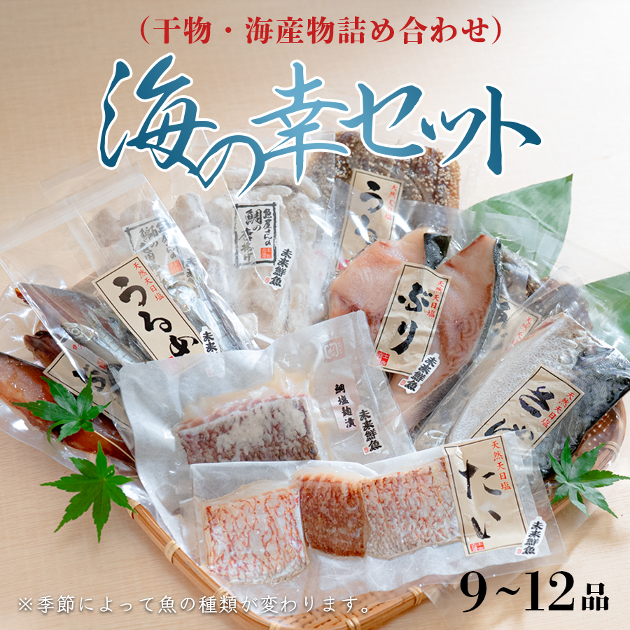 海の幸 干物セット 詰め合わせ 9~12品入り 鯛 うるめ あじ さば ぶり|塩麹漬け みりん干し おかず 朝食 弁当 夕食 手作り 魚介 海鮮 海産物 セット 新鮮 冷凍 ギフト 贈答用 ご飯のお供 酒の肴 贅沢 グルメ 高知県 大月町産