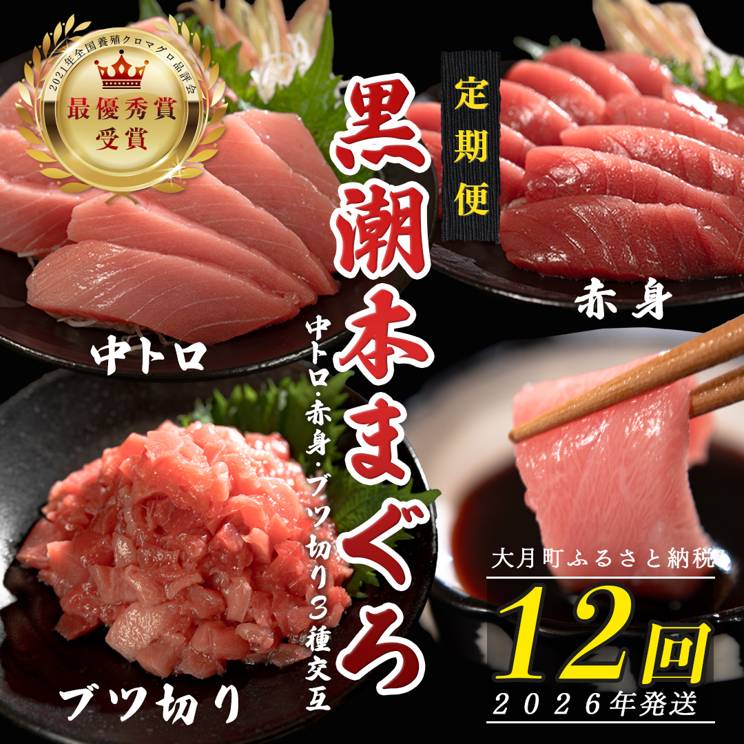 【定期便12回】日本一!黒潮本まぐろ 中トロ・赤身・ブツ切り(3種交互)