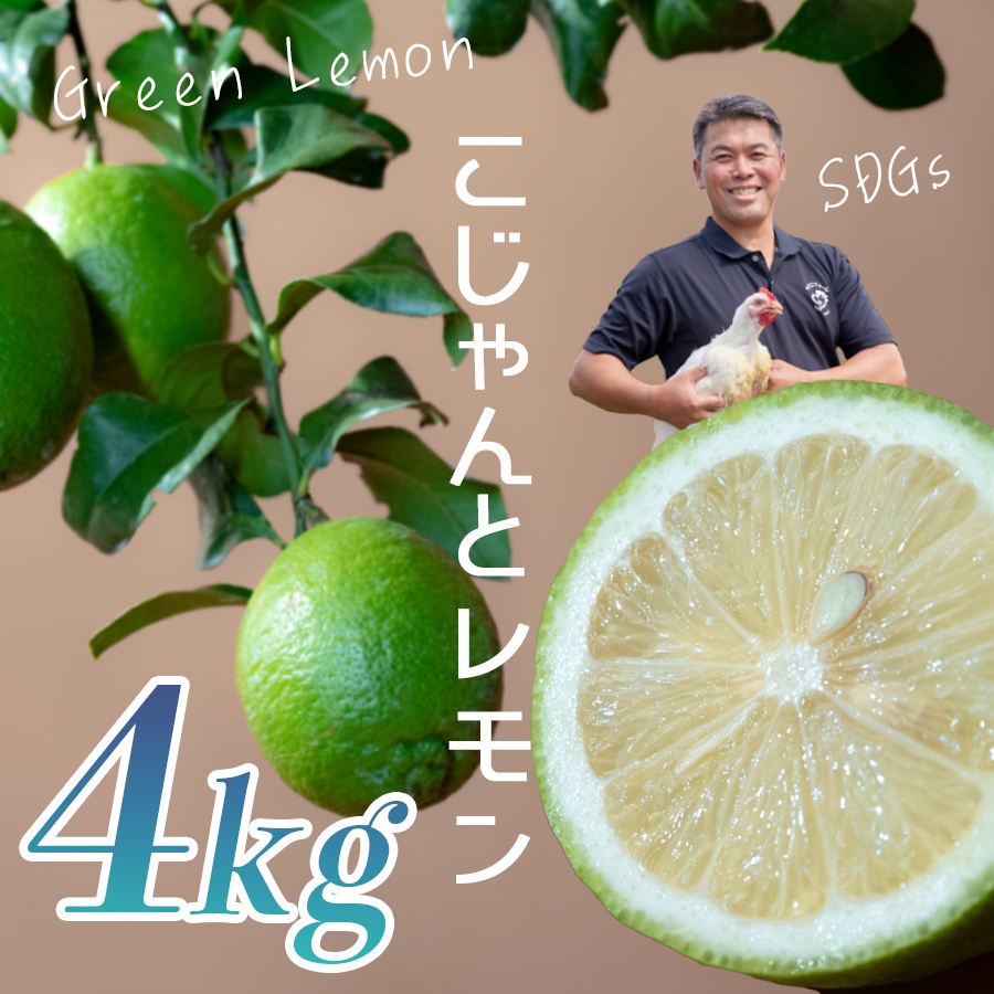 こじゃんとレモン 4kg|国産 高知県 大月町 レモン 檸檬 レモン水 フルーツ グリーンレモン イエローレモン 果実 柑橘 新鮮 ビタミンC 採れたて フレッシュ 季節の果物 産地直送 美容 健康 安心安全 国産レモン ギフト おすすめ