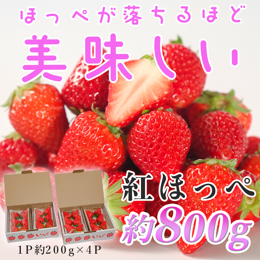 【高知県 大月町産】紅ほっぺ 約200g×4パック|いちご 800g 果物 フルーツ 苺 イチゴ くだもの 野菜 旬 美味しい 朝採り 新鮮 期間限定 ご褒美 産地直送 贈答用 自宅用 高知県 大月町 国産 ハウス栽培 甘いいちご 甘い苺