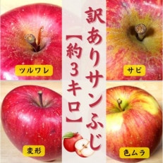 青森りんご サンふじ約3kg【訳あり・家庭用】【配送不可地域:離島・沖縄・中国・四国・九州】【1379642】