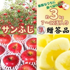 【準贈答品】味よし見た目よし「サンふじ」約3kg【配送不可地域:離島・沖縄・中国・四国・九州】【1403105】
