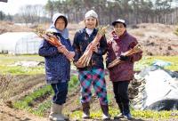 魅力ある仕事起しプロジェクト